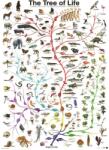EUROGRAPHICS - Puzzle The Tree of Life 1000 - 1 000 piese