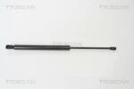 TRISCAN Amortizor portbagaj TRISCAN 8710 29253 - piesa-auto