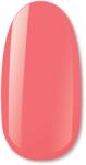 NiiZA Gel Polish 4ml - 401 - gellakk