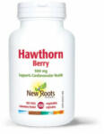 Provita Nutrition Hawthorn (Paducel Rosu) 500 mg 100 capsule New Roots Herbal