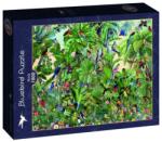 Bluebird Puzzle 1500 db-os puzzle - Birds (90307) (90307)