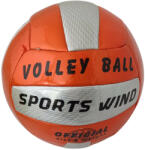  Metál fényű röplabda (SB5416)