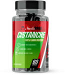 Muscle Rage CISTANCHE - Fokozott Tesztoszteron, Növekedési Hormon & Androgén Receptor Aktivitás - 60 Kapszula - Muscle Rage