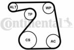Continental Ctam Set curea transmisie cu caneluri CONTINENTAL CTAM 6PK1360K1 - piesa-auto