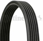 Continental Ctam Curea transmisie cu caneluri CONTINENTAL CTAM 6DPK1825 - piesa-auto