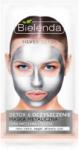 Bielenda Metallic Masks Silver Detox masca detoxifiere și curățare pentru ten gras și mixt 8 g Masca de fata
