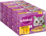 Whiskas 48x85g Whiskas 1+ frissentartó tasakban nedves macskatáp-szárnyasválogatás aszpikban