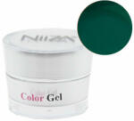  NiiZA ColorGel #06