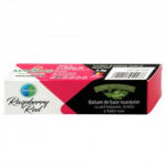 Manicos Balsam de buze nuantator Hyal'thaea Raspberry Red - 4.8 g