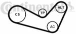 Continental Ctam Set curea transmisie cu caneluri CONTINENTAL CTAM 6PK1080K1 - piesa-auto