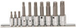 Genius Tools Rátűzőkulcs - crowa+bit készlet RIBE készlet 4-14-ig 10 db 1/4"+3/8" Genius (BS-2310S)