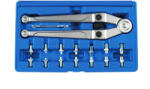 Laser Tools Körmöskulcs, oldalcsapos készlet - cserélhető csapos: 2.5 - 9.0 mm (LAS-7412)