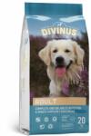 DIVINUS Adult 20 kg