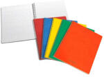 Aurora Caiet cu spirala, A4, 60 file - 80g mp, coperti carton cretat, AURORA - matematica (2960KQ5)