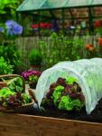 GardenLine Mini sera de gradina, solar legume 1, 8 x 6m