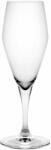 Holmegaard Pahar pentru șampanie PERFECTION, set de 6 buc, 230 ml, transparent, Holmegaard Pahar