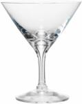 Holmegaard Pahar pentru cocktail FONTAINE, 250 ml, Holmegaard Pahar