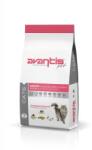 Avantis Avantis Cats 2kg