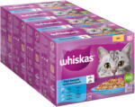 Whiskas 48x85g Whiskas 7+ Senior halválogatás aszpikban nedves macskatáp