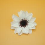  Dália fej - fekete közepű