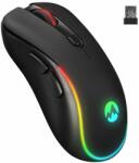 Everest SM-W75 X-Rapid (35467) Mouse