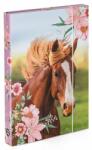 Oxybag Horse Angie lovas füzetbox - A4 - OXY BAG (IMO-KPP-3-74123) - mindenkiaruhaza