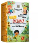 SONNENTOR Ceai Incearca Asortiment de Ceai Ingerasi Strengari Bio 20 plicuri Sonnentor