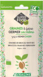 GERMLINE Broccoli Seminte pentru Germinat Bio Germline 150gr