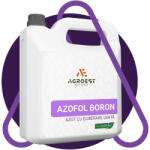 Agronutrition Azot cu eliberare lenta si Bor, AZOFOL BORON, 10 litri (ART001595)