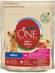 PURINA ONE Mini/Small Adult 800 g