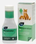Viyo International Viyo Recuperation Cat - 1 flacon 150 ml