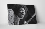 4 Decor Tablou canvas : Jimi Hendrix - beestick-deco - 104,00 RON
