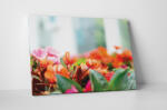 4 Decor Tablou canvas : Floricele colorate - beestick-deco - 174,00 RON