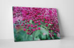 4 Decor Tablou canvas : Pink small flowers - beestick-deco - 69,00 RON