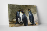 4 Decor Tablou canvas : Intalnirea pinguinilor - beestick-deco - 69,00 RON