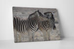 4 Decor Tablou canvas : Familie de zebre - beestick-deco - 174,00 RON