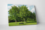 4 Decor Tablou canvas : Parcul verde - beestick-deco - 69,00 RON