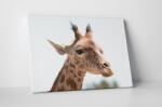 4 Decor Tablou canvas : Girafa simpatica - beestick-deco - 174,00 RON