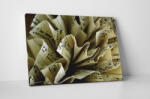4 Decor Tablou canvas : Foaie de muzica - beestick-deco - 69,00 RON