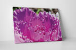 4 Decor Tablou canvas : Purple flower - beestick-deco - 69,00 RON