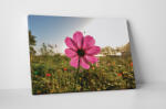 4 Decor Tablou canvas : O floare roz - beestick-deco - 69,00 RON