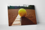 4 Decor Tablou canvas : Minge de tenis - beestick-deco - 104,00 RON