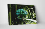 4 Decor Tablou canvas : Cameleon verde - beestick-deco - 174,00 RON