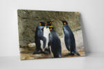 4 Decor Tablou canvas : Intalnirea pinguinilor - beestick-deco - 104,00 RON