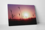 4 Decor Tablou canvas : In the sunset - beestick-deco - 69,00 RON