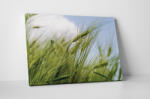 4 Decor Tablou canvas : Graul verde - beestick-deco - 174,00 RON