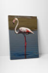 4 Decor Tablou canvas : Flamingo singuratic - beestick-deco - 69,00 RON