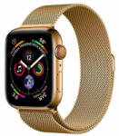 DOOP Curea Doop Milanese Loop Apple Watch 1/2/3/4/5 (38/40mm) Gold