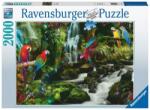 Ravensburger Színes papagájok a dzsungelben 2000 db-os (17111)