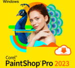 Corel PaintShop Pro 2023 ENG (ESDPSP2023ML)